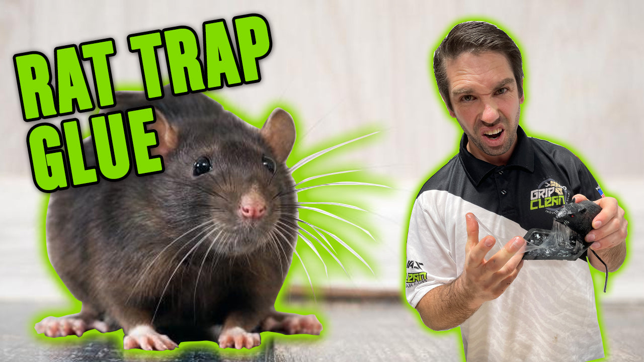 Rat Traps Glue Boards